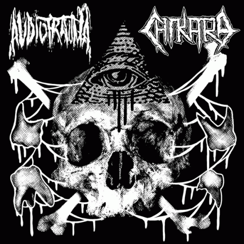 Chikara : Audiotrauma - Chikara